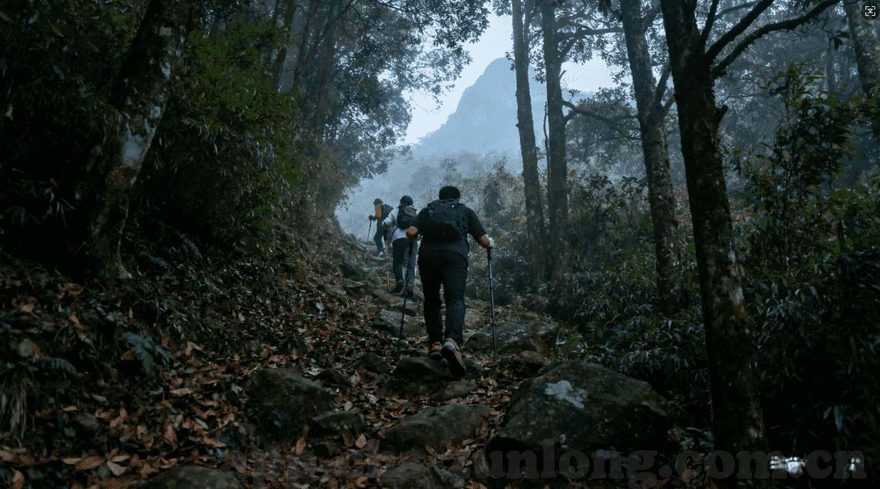 世界杯射手榜阿根廷-世界杯射手榜上的阿根廷传奇